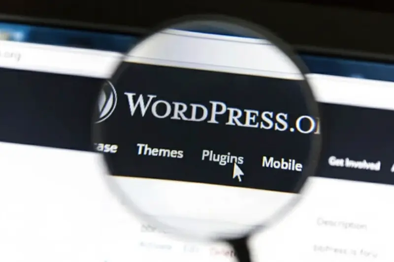 WordPress.org visto a través de una lupa; enfoque en «Themes» y «Plugins», símbolo del análisis y la optimización profesional de sitios en WordPress.